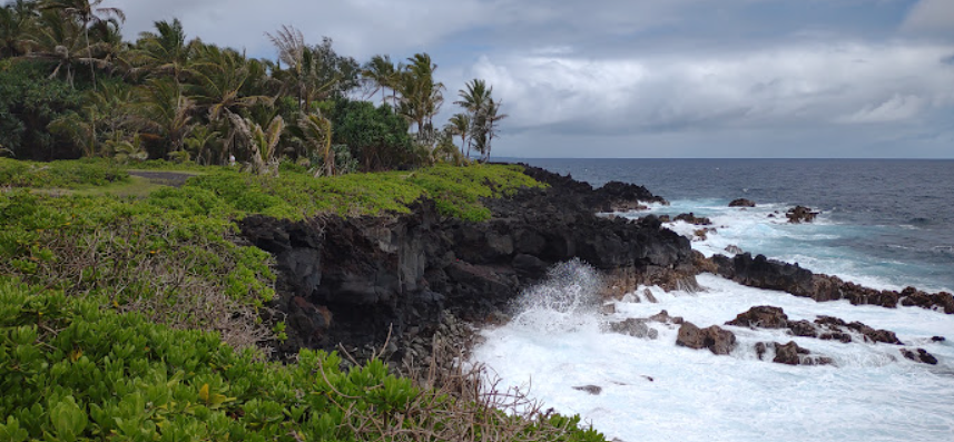 Hawaiian Vacation